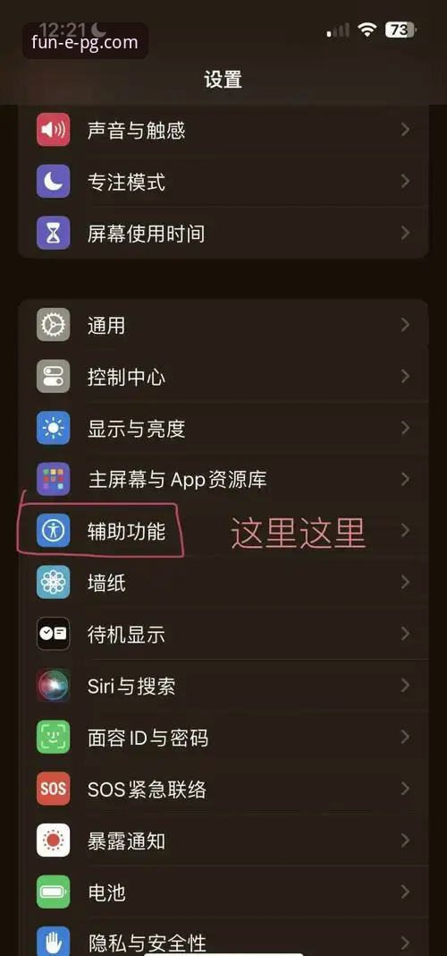 如何安全高效地完成PG苹果版下载？官方渠道深度解析